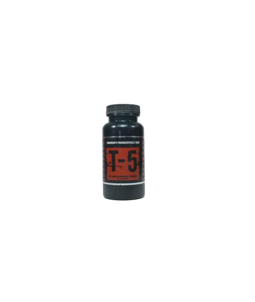 T5 Zion Labs