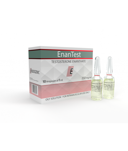Endogenic EnanTest Testosteron Enantat