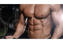 Testosteron Enanthate Dosierung für Anfänger und Fortgeschrittene